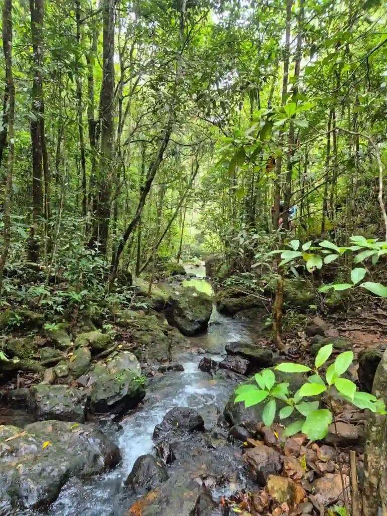 Perjaanan Ke cunca plias
