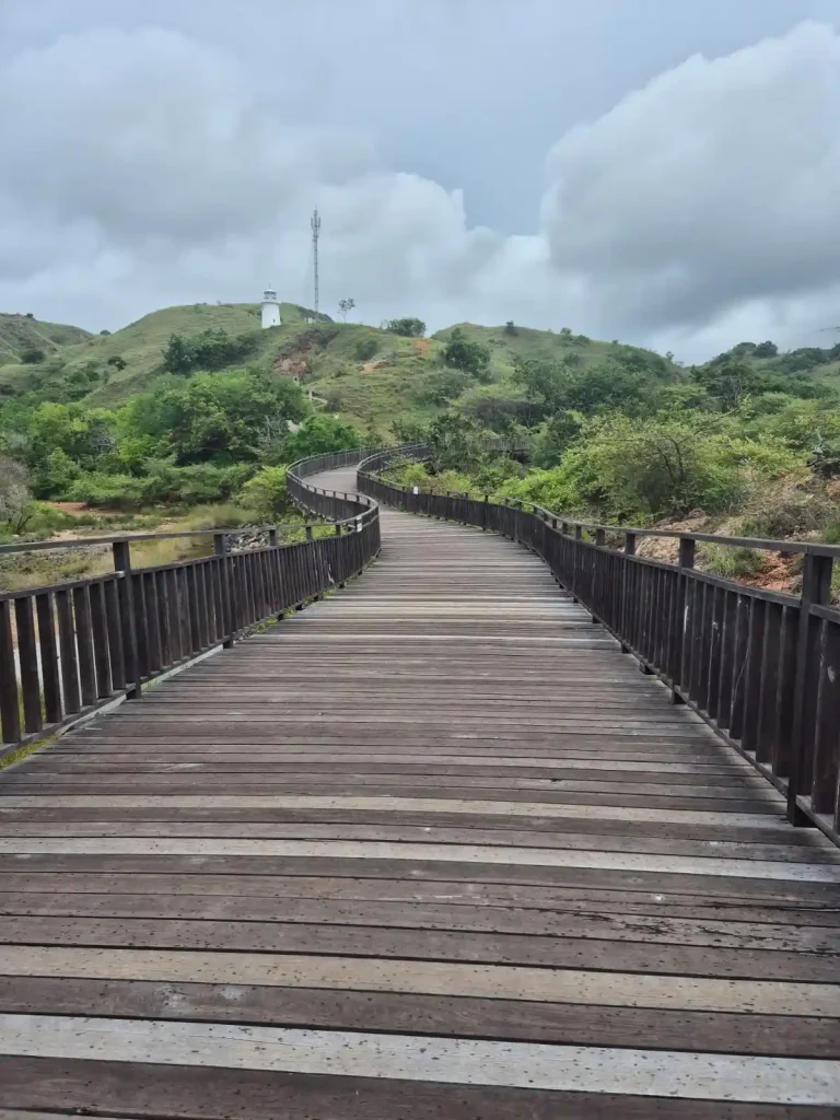 Penampakan alam pulau rinca