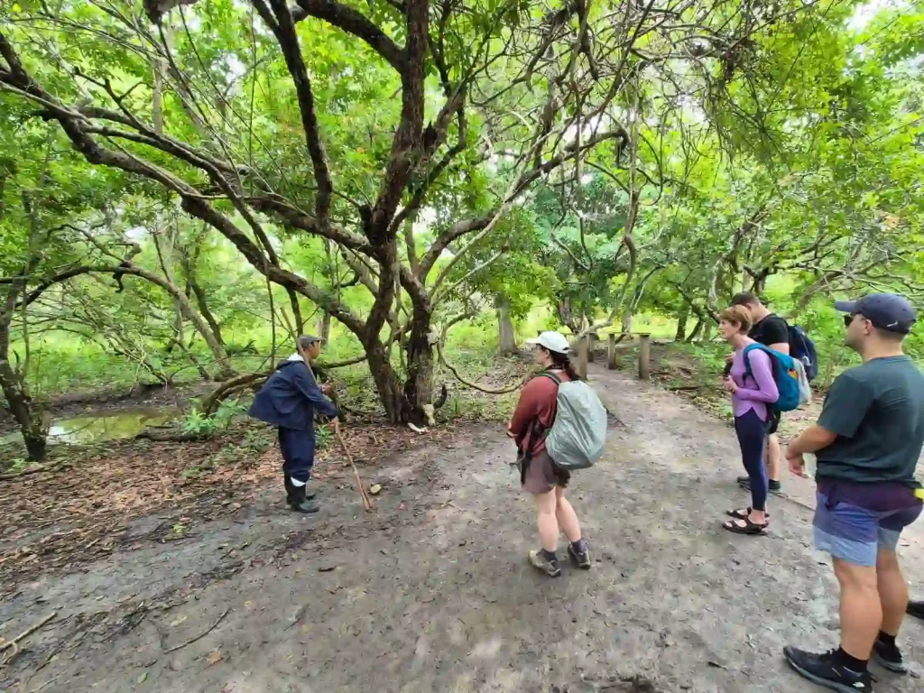 Pulau Rinca Labuan Bajo