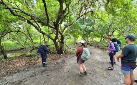 Pulau Rinca Labuan Bajo