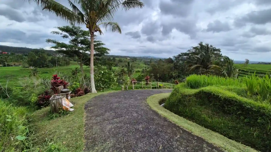 objek wisata jatiluwih tabanan