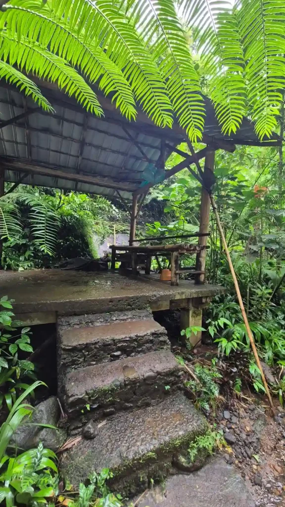 munduk waterfall hike