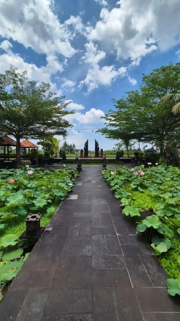 Bebek joni ubud bali update