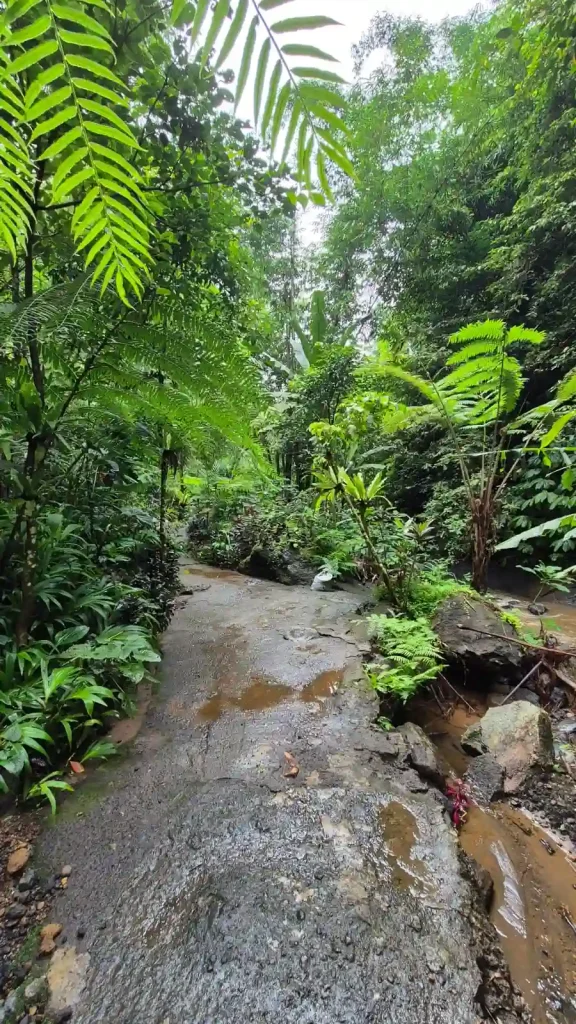 munduk waterfall trail
