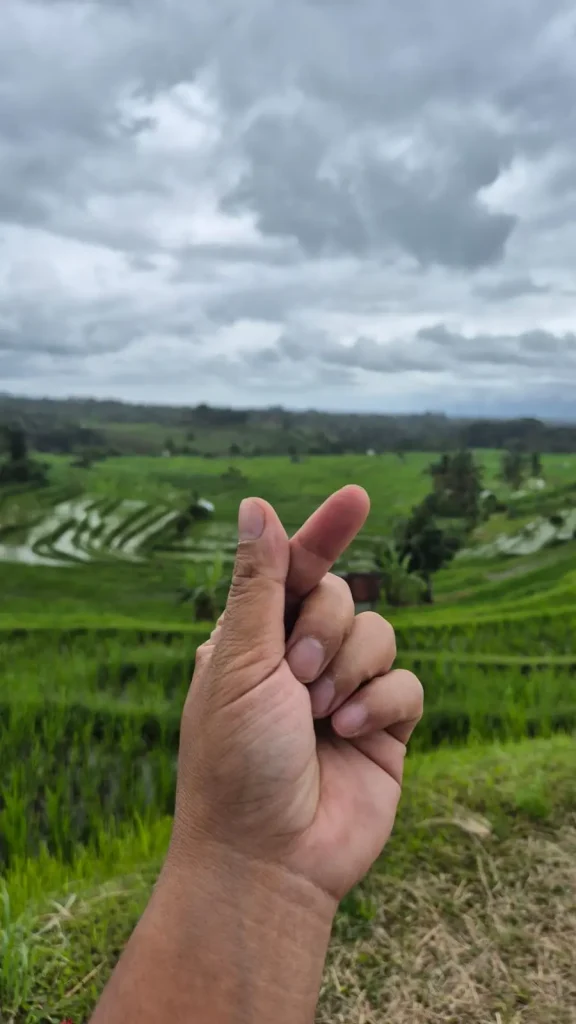 jatiluwih tabanan bali