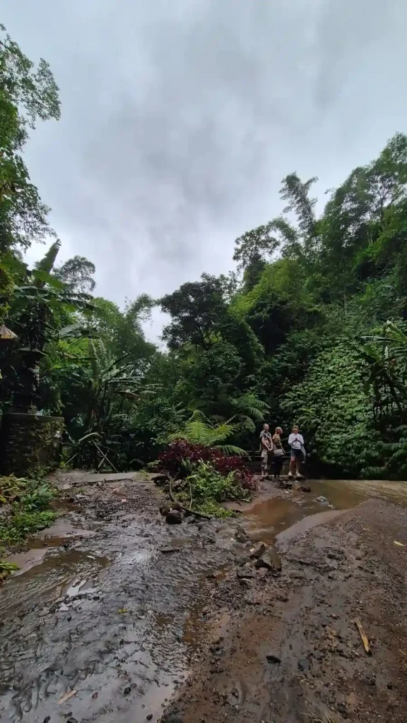 munduk waterfall trek