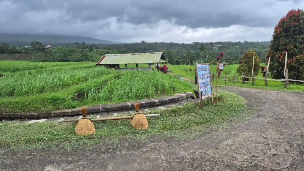 tempat wisata jatiluwih tabanan