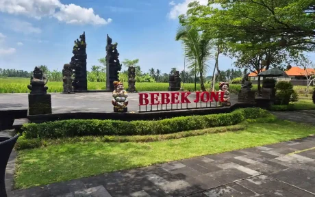 bebek joni ubud bali
