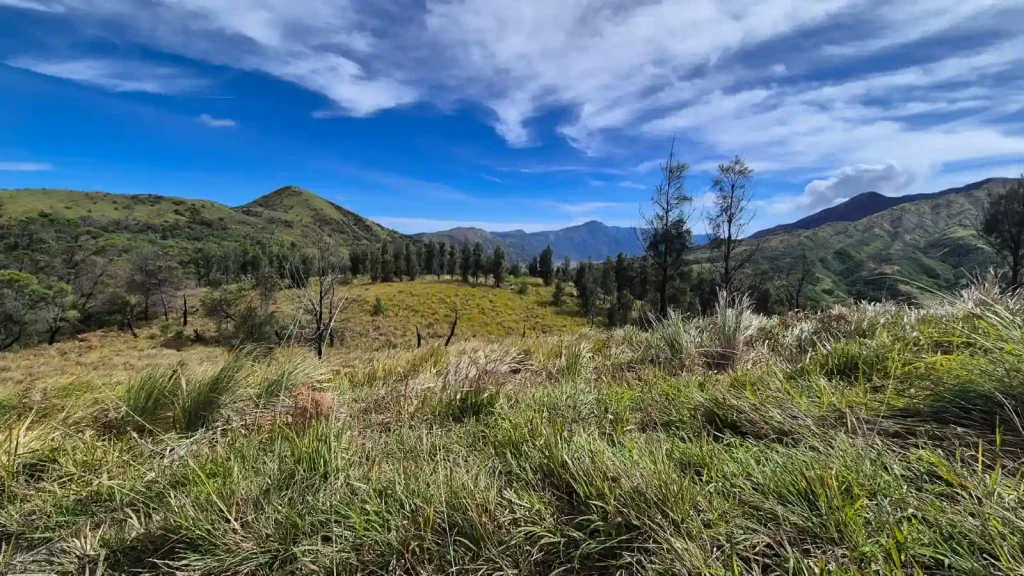 Bukit painem bromo