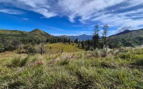 Bukit painem bromo