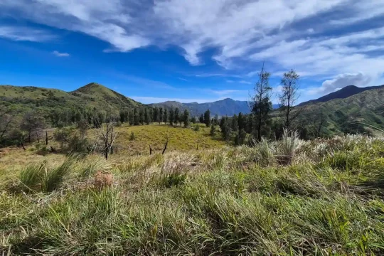 Bukit painem bromo