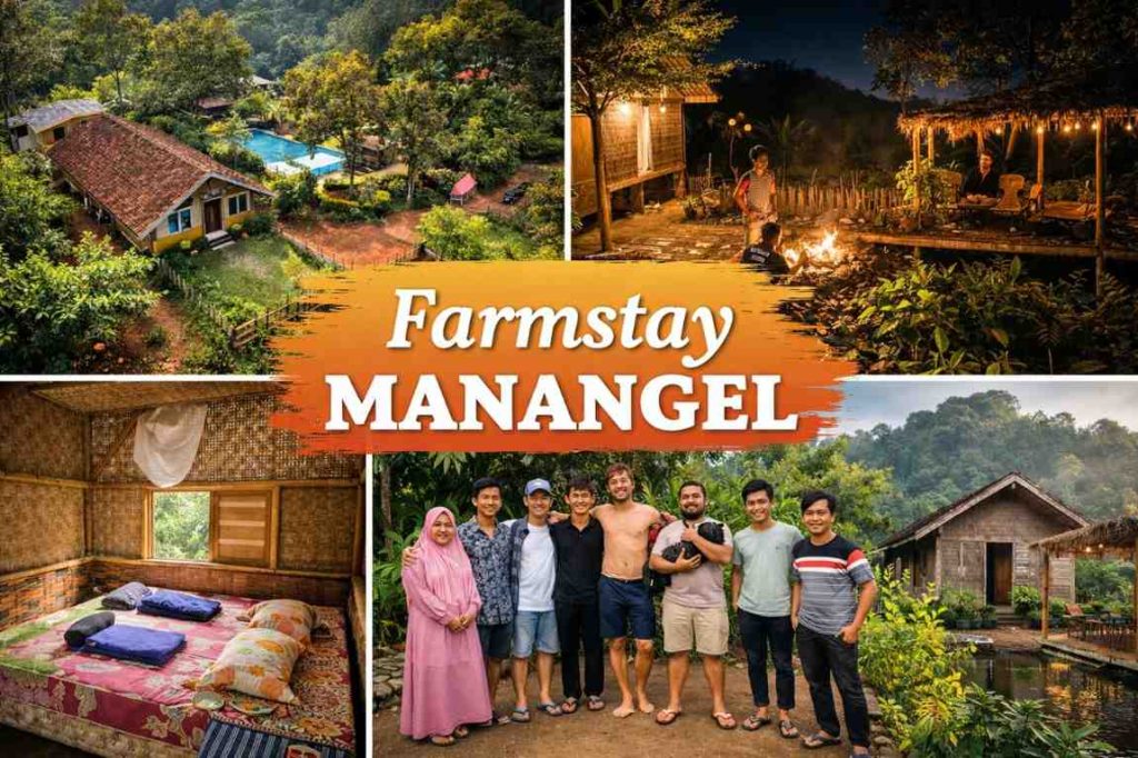 ulasan farmstay manangel