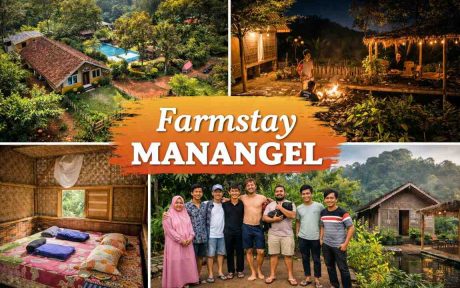 ulasan farmstay manangel